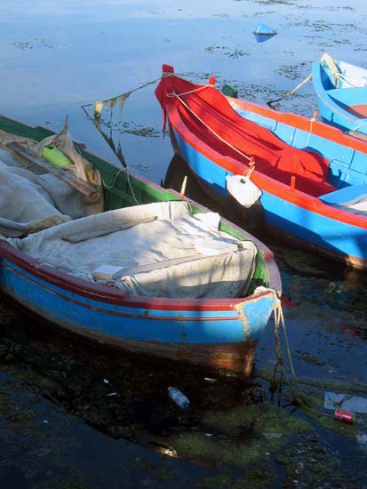 dories